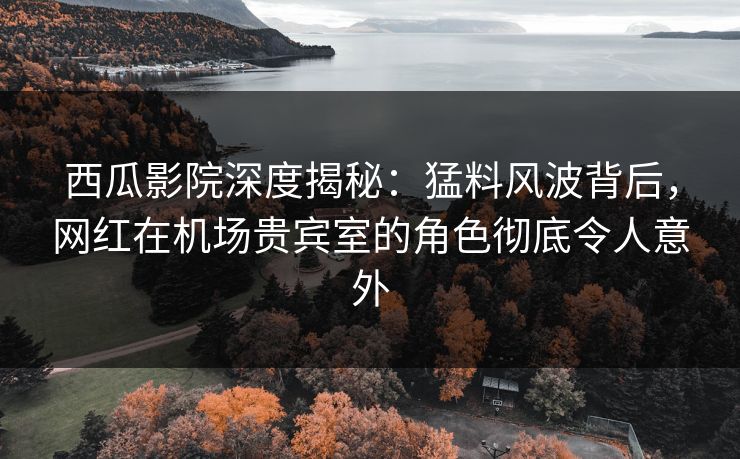 西瓜影院深度揭秘：猛料风波背后，网红在机场贵宾室的角色彻底令人意外
