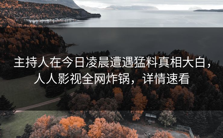 主持人在今日凌晨遭遇猛料真相大白，人人影视全网炸锅，详情速看